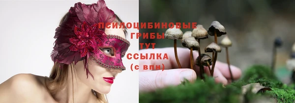 твердый Пестово