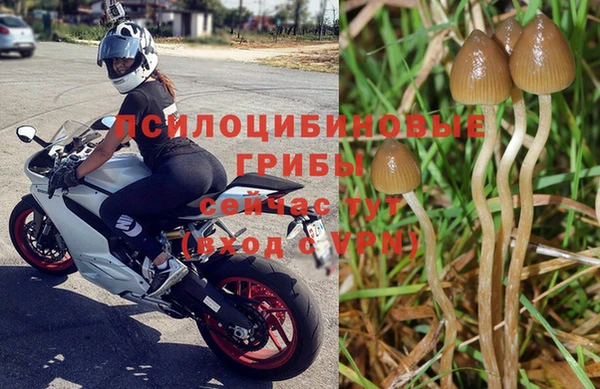 твердый Пестово